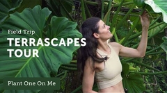 singapore's greenhouse